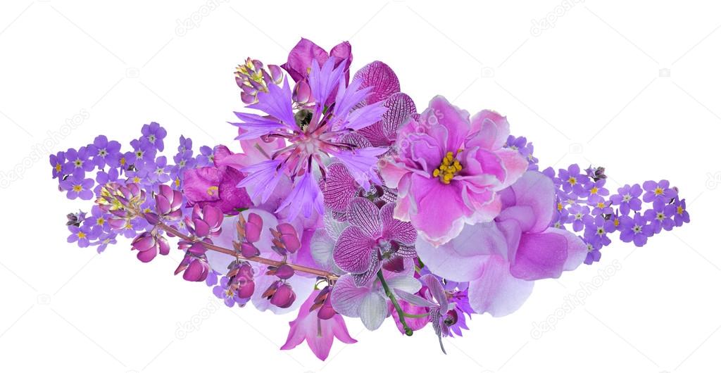 bunch of lilac flowers isolated on white