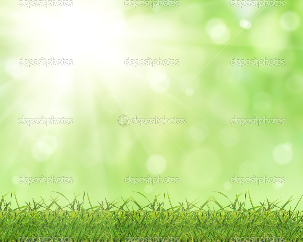 green grass on bright sunny background