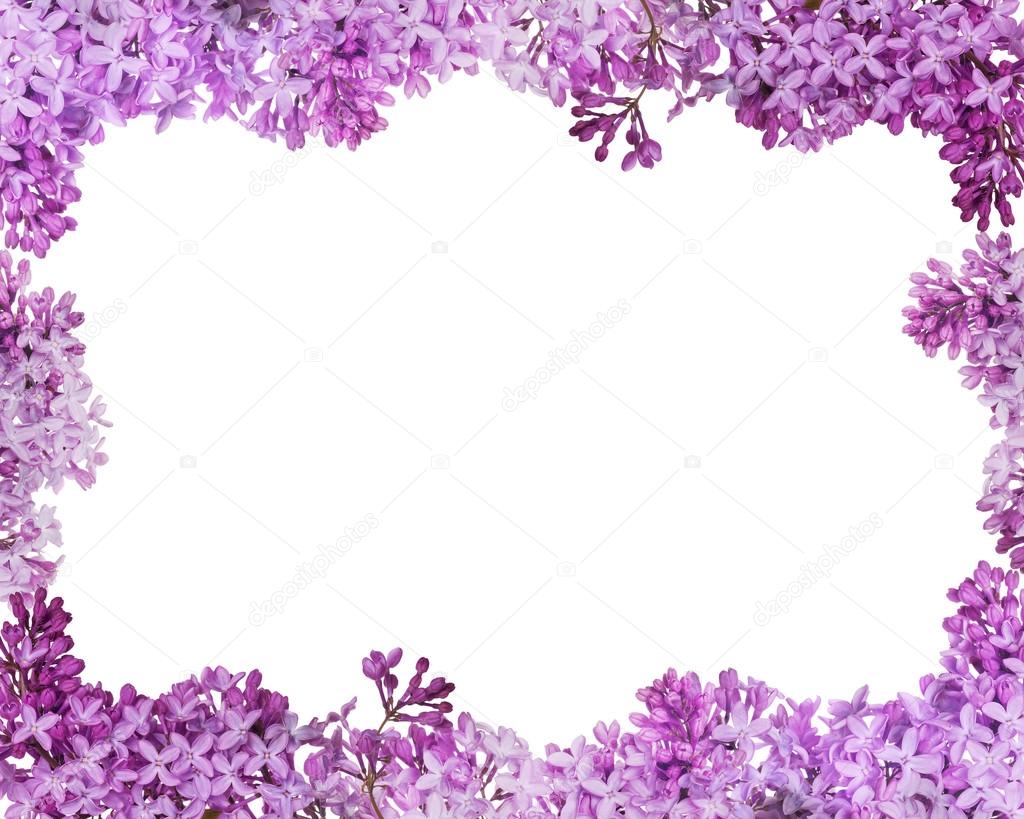 lush lilac flower frame on white