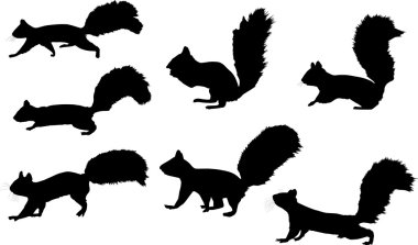 Download Silhouette Squirrels Free Vector Eps Cdr Ai Svg Vector Illustration Graphic Art