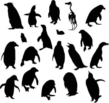 penguin silhouette connect the dots penguin silhouette connect the dots