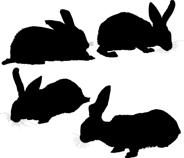 Coleção de quatro silhuetas de coelho isoladas em branco — Vetor de Stock