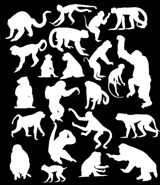 Twenty two white isolated monkey silhouettes — Stock Vector