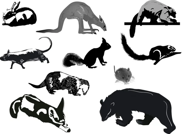 Beyaz zemin üzerinde 10 hayvan çizimleri — Stok Vektör