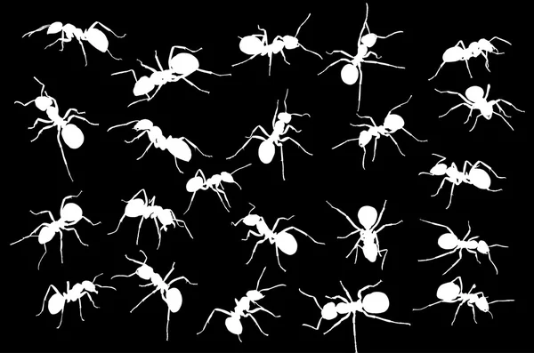 White ant silhouetten collectie — Stockvector