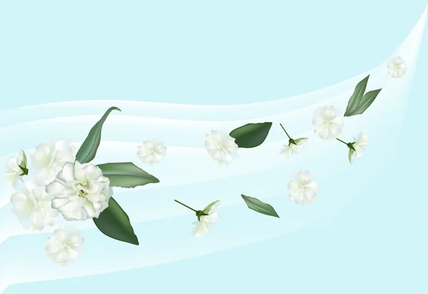 浅蓝色背景上的白色小花 — 图库矢量图片