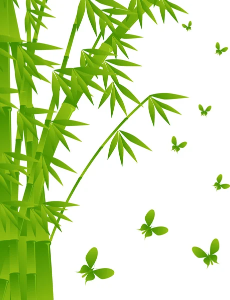 Bambu verde e borboletas no fundo branco —  Vetores de Stock