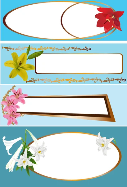 Vier frames met lily bloemen collectie — Stockvector