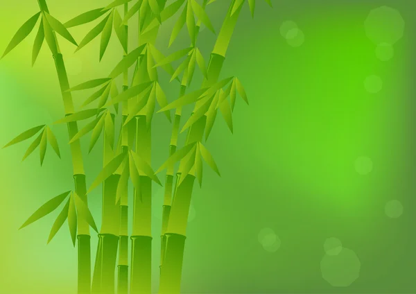 Fondo verde con bambú — Archivo Imágenes Vectoriales