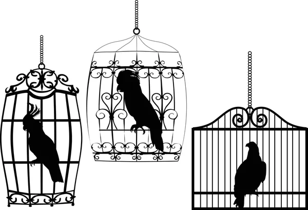Raccolta di uccelli in gabbie su bianco — Vettoriale Stock