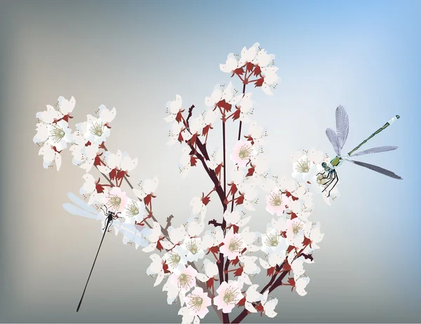 Libélula y flor de árbol blanco — Archivo Imágenes Vectoriales