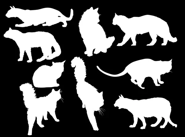 Дев'ять білих кішок на чорному — стоковий вектор