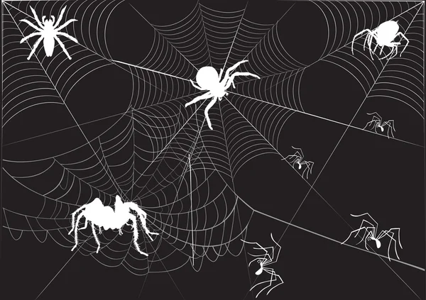 White spiders on webs — Stock Vector