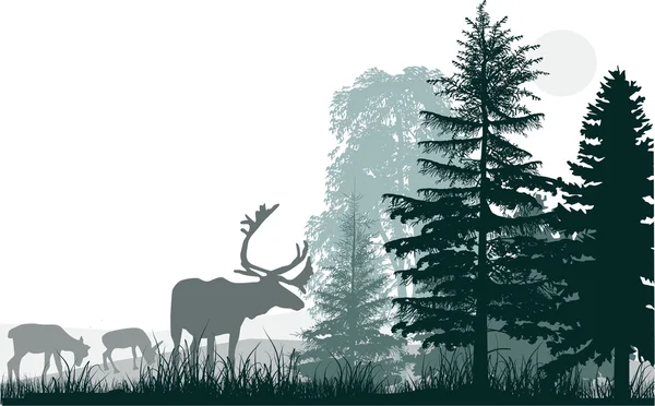 Three deers near gren forest — Stock Vector