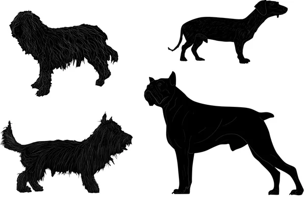 Cuatro perros negros aislados — Archivo Imágenes Vectoriales