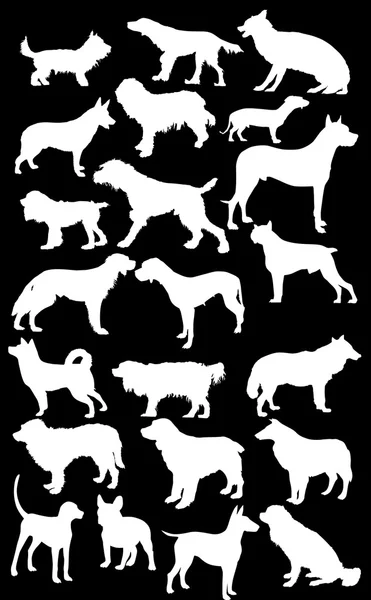 Twenty two white dog silhouettes — Stock Vector