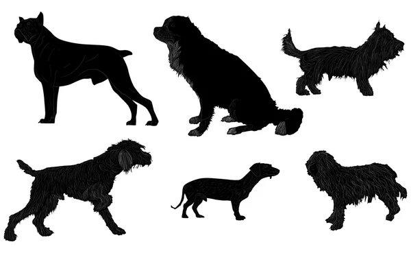 Seis perros negros aislados — Vector de stock