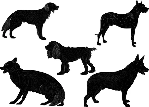 Vijf zwarte geïsoleerde honden — Stockvector
