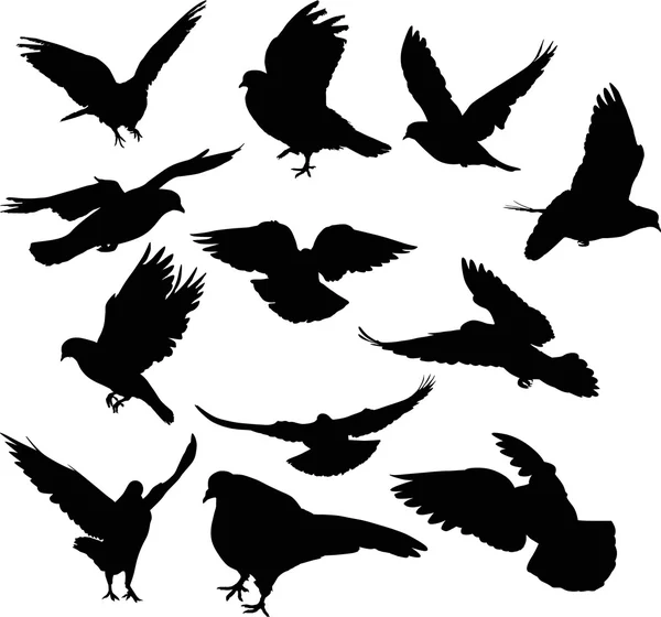 Twelve dove silhouettes isolated on white — Stock Vector