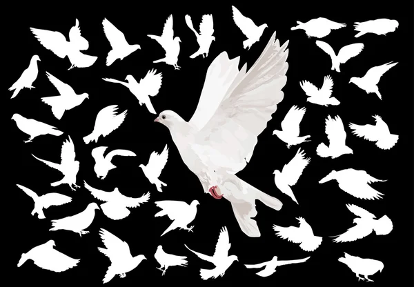 Большой набор белых голубей — стоковый вектор