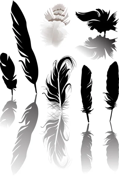 Seven feathers with shadows isolated on white — Stock Vector