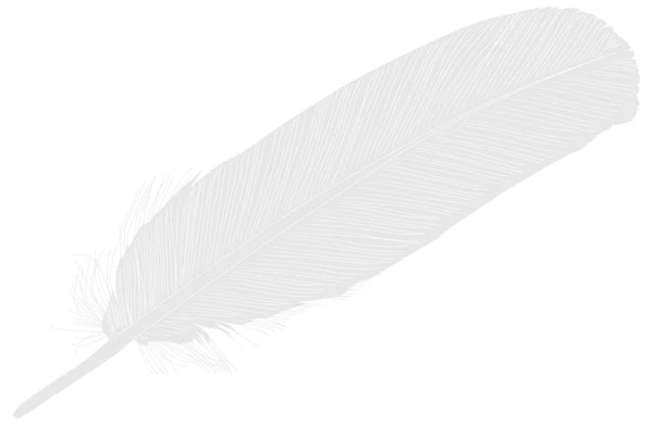 Single isolated gray feather illustration — Stock Vector