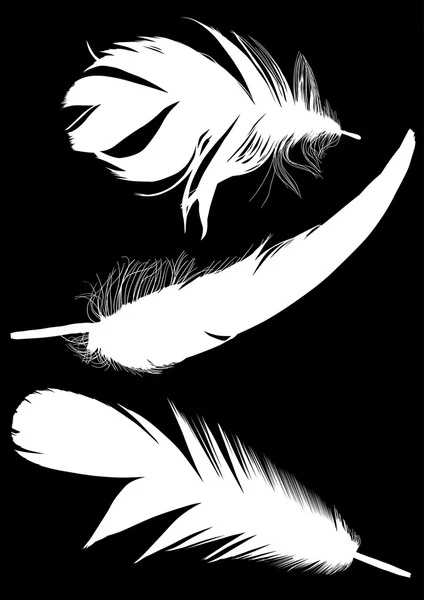 Three white feathers on black background — Stock Vector