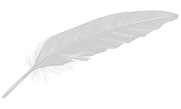 Single gray feather illustration — Stock Vector