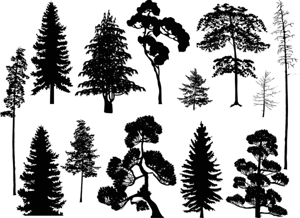 Set di tredici alberi neri — Vettoriale Stock