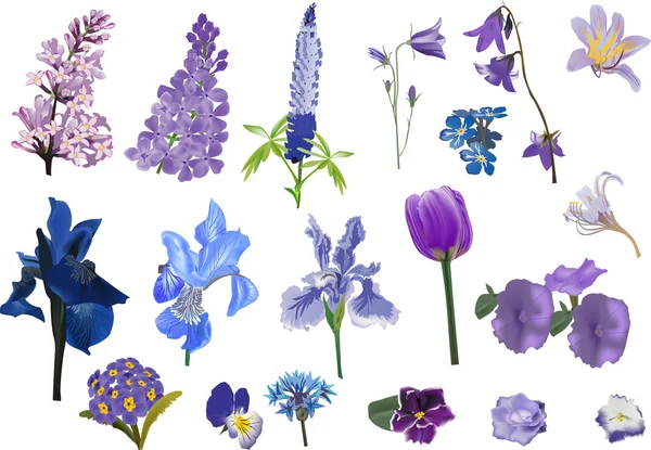 Kollektion isolierter violetter Blumen — Stockvektor