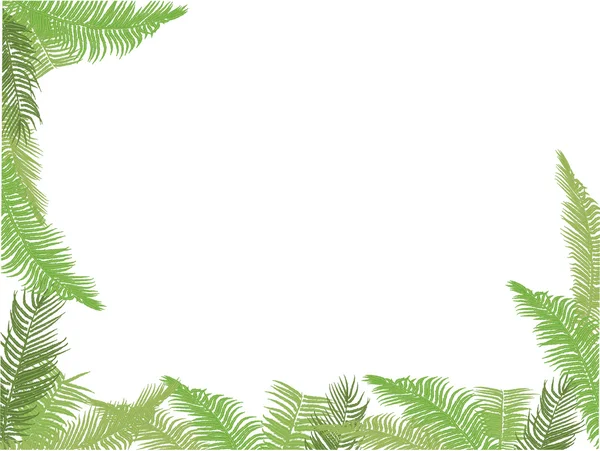 孤立的绿色蕨菜半框 — 图库矢量图片