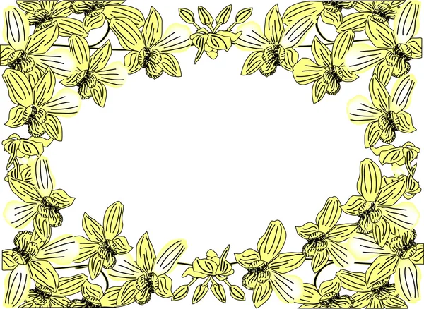 Croquis de cadre d'orchidées jaunes isolé sur blanc — Image vectorielle