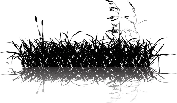 用反射上白色孤立的草剪影 — 图库矢量图片