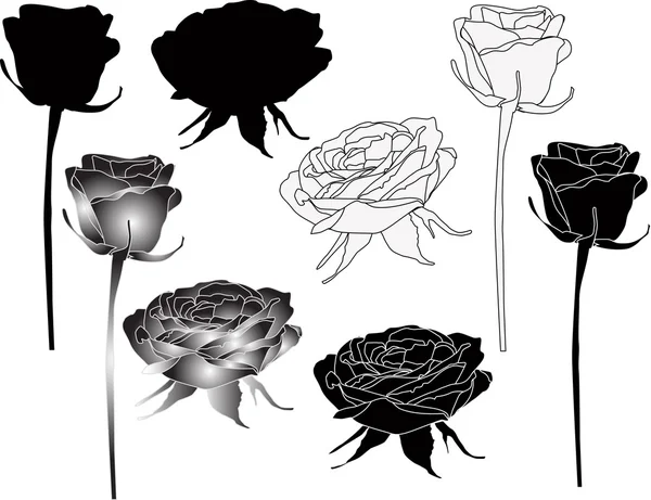 孤立的黑色和白色玫瑰草图 — 图库矢量图片