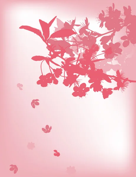 Sakura rosa con flores que caen — Vector de stock