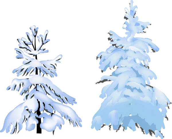 Two firs in snow isolated on white — Stock Vector