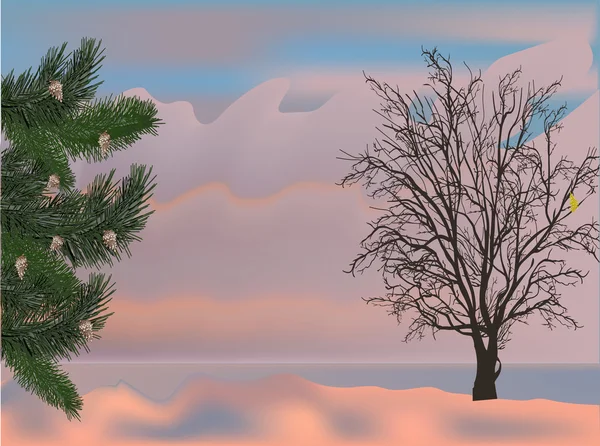 Winter trees at sunset illustration — Stock Vector