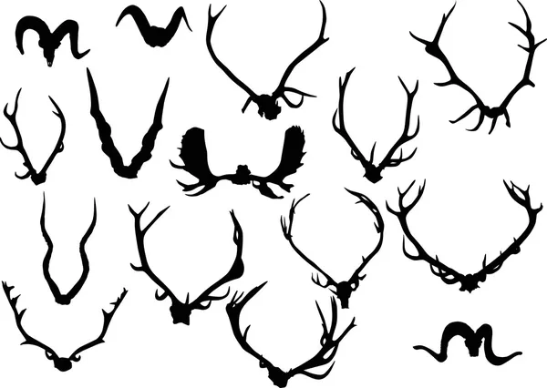 Колекція з п'ятнадцяти мурашок і рогів — стоковий вектор
