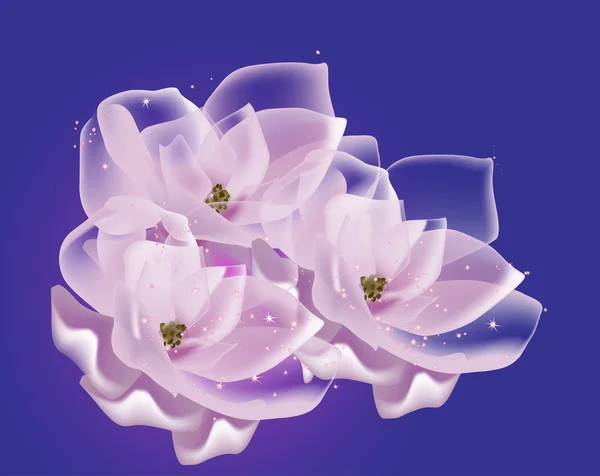 Tres flores de magnolia rosa sobre azul — Vector de stock