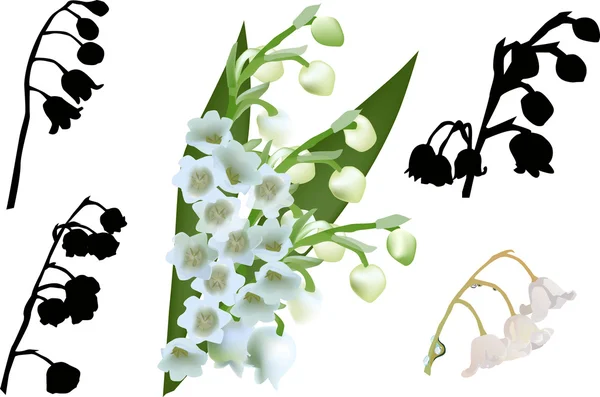 Lírio-do-vale flores conjunto isolado em branco — Vetor de Stock