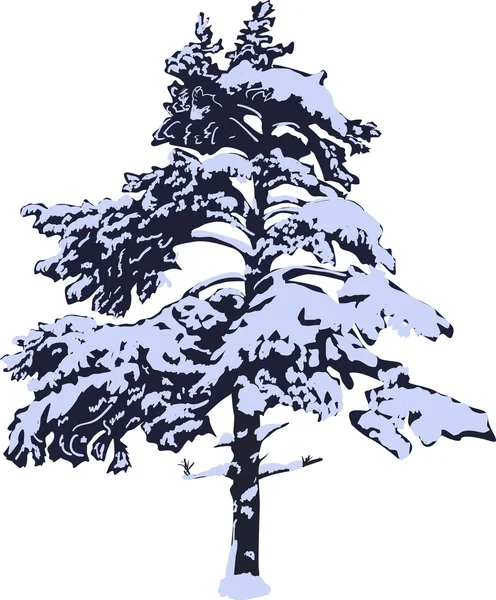 Pin dans la neige isolé sur fond blanc — Image vectorielle