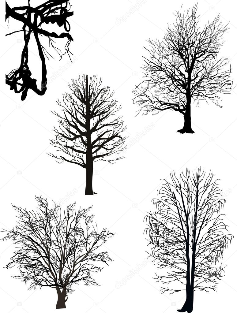 bare trees silhouette collection isolated on white