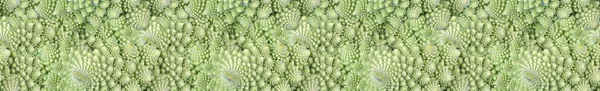 Green Romanesco Broccoli Close Seamless Texture — Stock Photo, Image