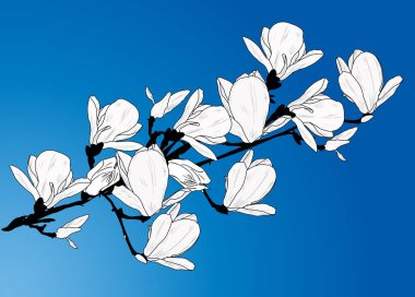 Mavi zemin üzerinde manolya çiçeği dalı olan bir illüstrasyon