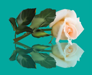 Cyan arka planda izole ışık gül ile illüstrasyon