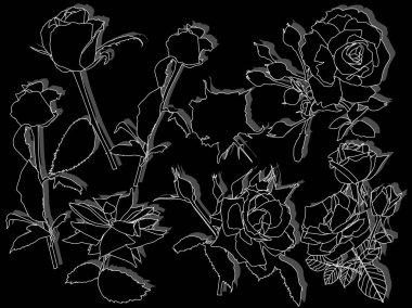 Siyah arkaplanda izole edilmiş gül çizgileri ile illüstrasyon