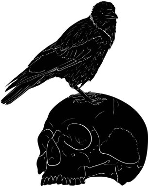 Beyaz arka planda izole edilmiş kuzgun ve insan kafatasına sahip çizimler