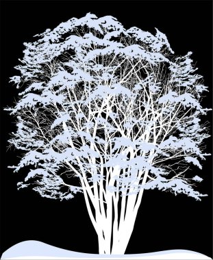 Siyah arkaplanda izole edilmiş kardaki ağaçla illüstrasyon