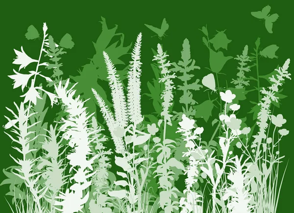 Yeşil Arka Planda Izole Edilmiş Bitkilerin Üzerindeki Kelebeklerin Resimleri — Stok Vektör