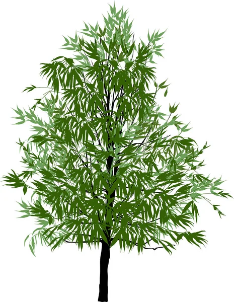 Иллюстрация Зеленым Деревом Изолированы Белом Фоне — стоковый вектор